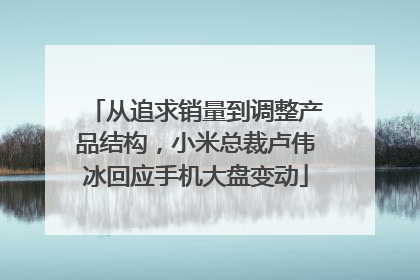 从追求销量到调整产品结构，小米总裁卢伟冰回应手机大盘变动