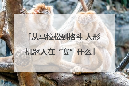 从马拉松到格斗 人形机器人在“赛”什么