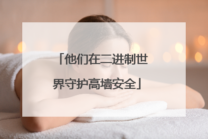 他们在二进制世界守护高墙安全