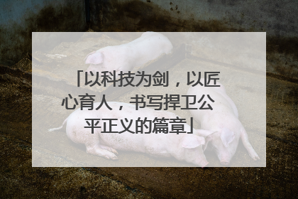 以科技为剑，以匠心育人，书写捍卫公平正义的篇章