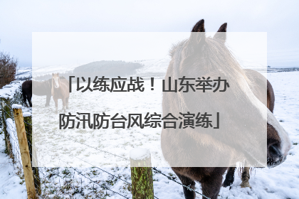 以练应战！山东举办防汛防台风综合演练