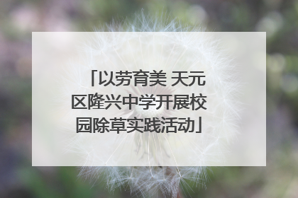 以劳育美 天元区隆兴中学开展校园除草实践活动