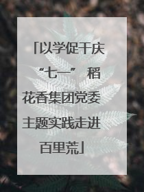 以学促干庆“七一” 稻花香集团党委主题实践走进百里荒