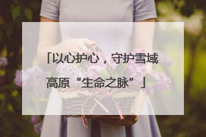 以心护心，守护雪域高原“生命之脉”