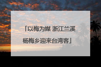 以梅为媒 浙江兰溪杨梅乡迎来台湾客