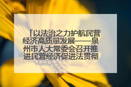 以法治之力护航民营经济高质量发展——泉州市人大常委会召开推进民营经济促进法贯彻实施座谈会