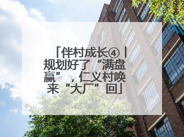 伴村成长④丨规划好了“满盘赢”，仁义村唤来“大厂”回