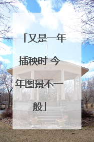 又是一年插秧时 今年图景不一般