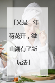 又是一年荷花开，微山湖有了新玩法