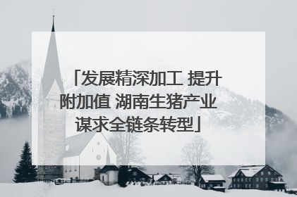 发展精深加工 提升附加值 湖南生猪产业谋求全链条转型