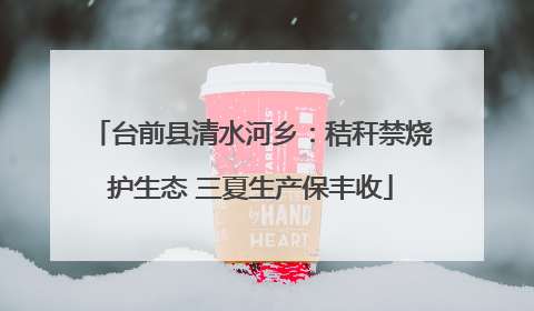 台前县清水河乡：秸秆禁烧护生态 三夏生产保丰收