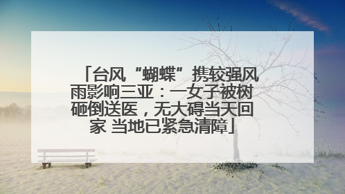 台风“蝴蝶”携较强风雨影响三亚：一女子被树砸倒送医，无大碍当天回家 当地已紧急清障