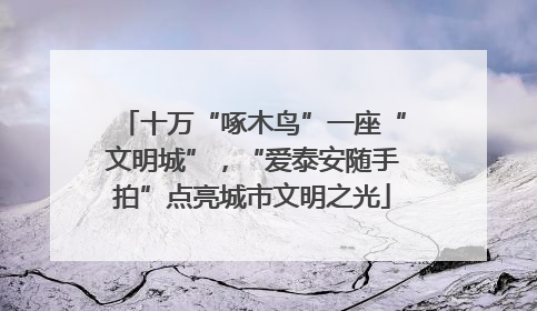 十万“啄木鸟”一座“文明城”，“爱泰安随手拍”点亮城市文明之光