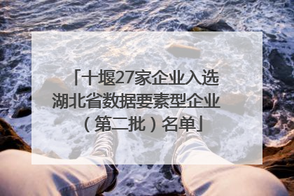 十堰27家企业入选湖北省数据要素型企业（第二批）名单
