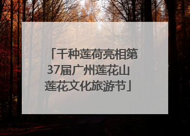 千种莲荷亮相第37届广州莲花山莲花文化旅游节