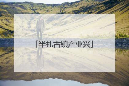半扎古镇产业兴