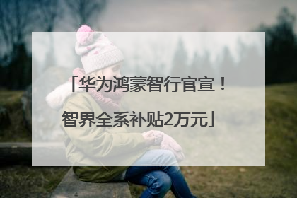 华为鸿蒙智行官宣！智界全系补贴2万元