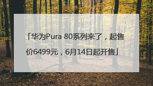华为Pura 80系列来了，起售价6499元，6月14日起开售