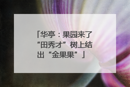 华亭：果园来了“田秀才”树上结出“金果果”