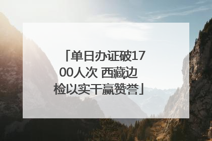 单日办证破1700人次 西藏边检以实干赢赞誉