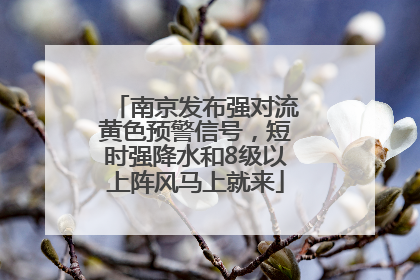 南京发布强对流黄色预警信号，短时强降水和8级以上阵风马上就来