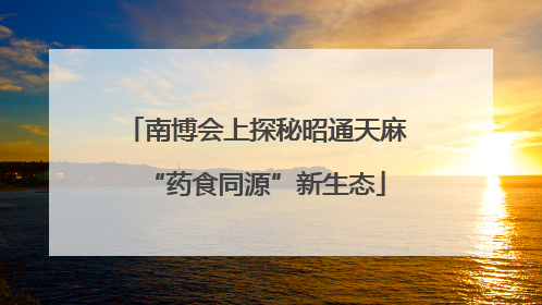 南博会上探秘昭通天麻“药食同源”新生态