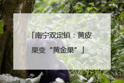 南宁双定镇：黄皮果变“黄金果”