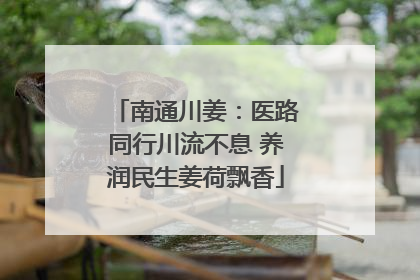 南通川姜：医路同行川流不息 养润民生姜荷飘香