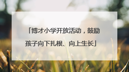 博才小学开放活动，鼓励孩子向下扎根、向上生长