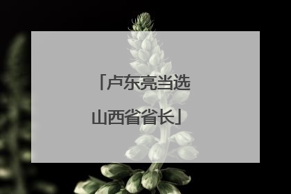 卢东亮当选山西省省长