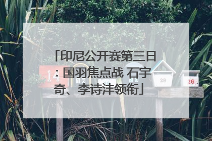 印尼公开赛第三日：国羽焦点战 石宇奇、李诗沣领衔
