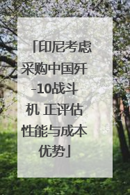 印尼考虑采购中国歼-10战斗机 正评估性能与成本优势