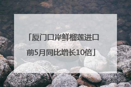厦门口岸鲜榴莲进口 前5月同比增长10倍