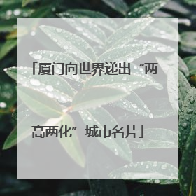 厦门向世界递出“两高两化”城市名片