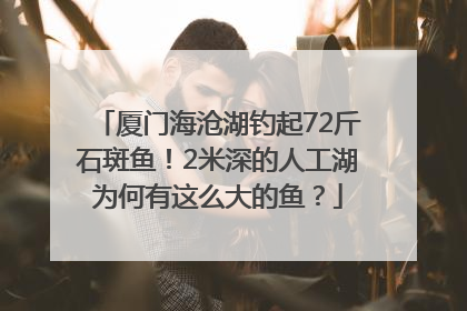 厦门海沧湖钓起72斤石斑鱼！2米深的人工湖为何有这么大的鱼？
