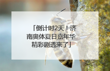 倒计时2天！济南奥体夏日嘉年华精彩剧透来了