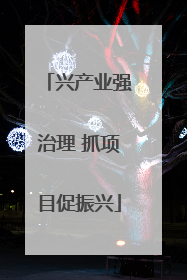 兴产业强治理 抓项目促振兴