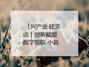 兴产业·建支点｜创新赋能 数字领航 小县城迎来大发展