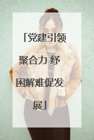 党建引领聚合力 纾困解难促发展