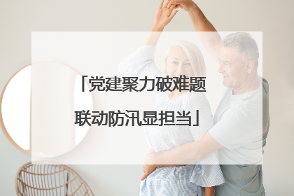 党建聚力破难题 联动防汛显担当