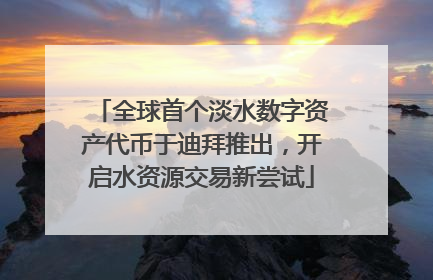 全球首个淡水数字资产代币于迪拜推出，开启水资源交易新尝试