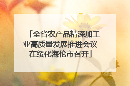 全省农产品精深加工业高质量发展推进会议在绥化海伦市召开