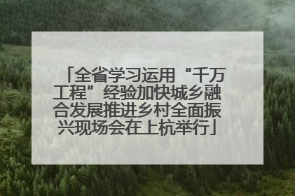 全省学习运用“千万工程”经验加快城乡融合发展推进乡村全面振兴现场会在上杭举行