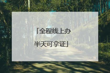 全程线上办 半天可拿证