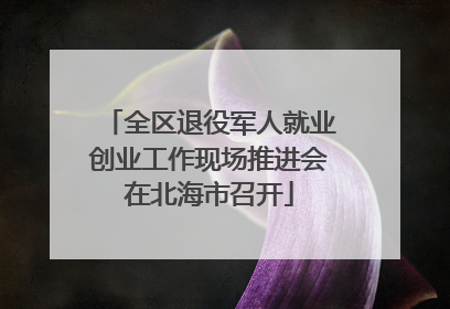 全区退役军人就业创业工作现场推进会在北海市召开