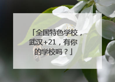全国特色学校，武汉+21，有你的学校吗？