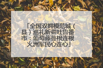 全国双拥模范城（县）巡礼新疆吐鲁番市：葡萄藤蔓根连根 火洲军民心连心