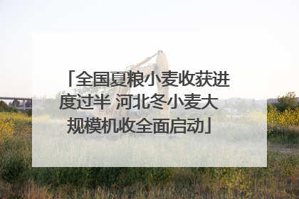 全国夏粮小麦收获进度过半 河北冬小麦大规模机收全面启动