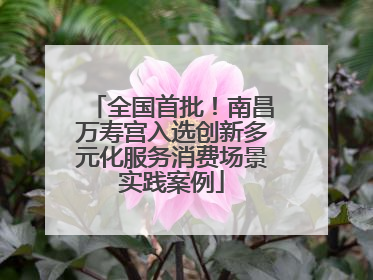 全国首批！南昌万寿宫入选创新多元化服务消费场景实践案例