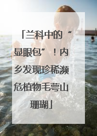 兰科中的“显眼包”！内乡发现珍稀濒危植物毛萼山珊瑚